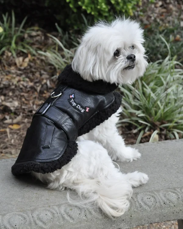 Top Dog Vintage Flight Jacket & Leash